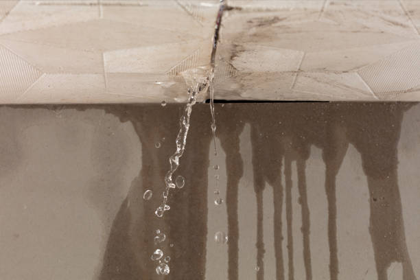Professional Flood Damage Cleanup technician working in Damascus, MD